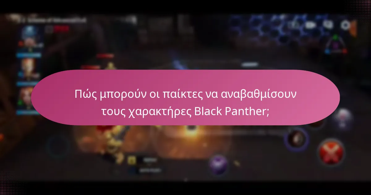 Ποια αντικείμενα εκδηλώσεων σχετίζονται με τον Black Panther;